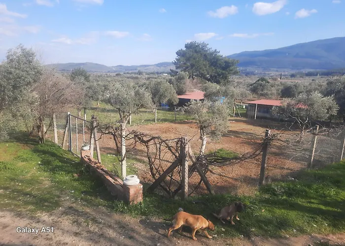 Ali Dede Kamp Karavan *