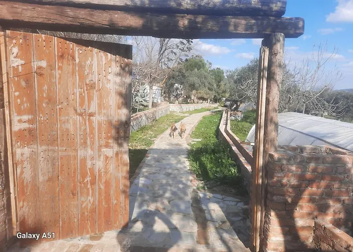 Camping Ali Dede Kamp Karavan